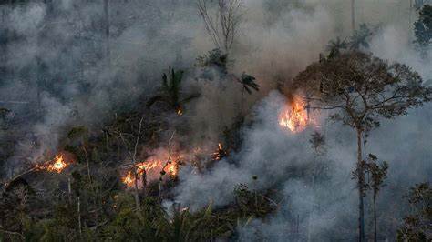 fogo-amazonia